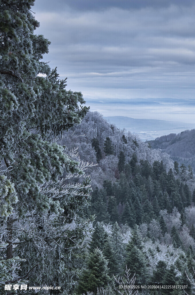 雪覆山林的静谧冬日景象