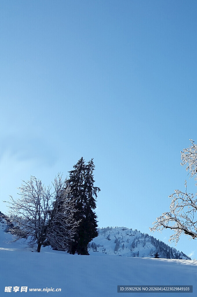 冬日雪景中的树木与山峦