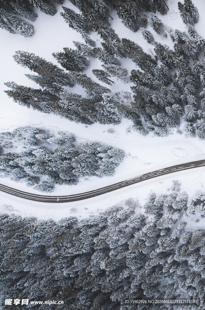 冬日雪林蜿蜒公路美景