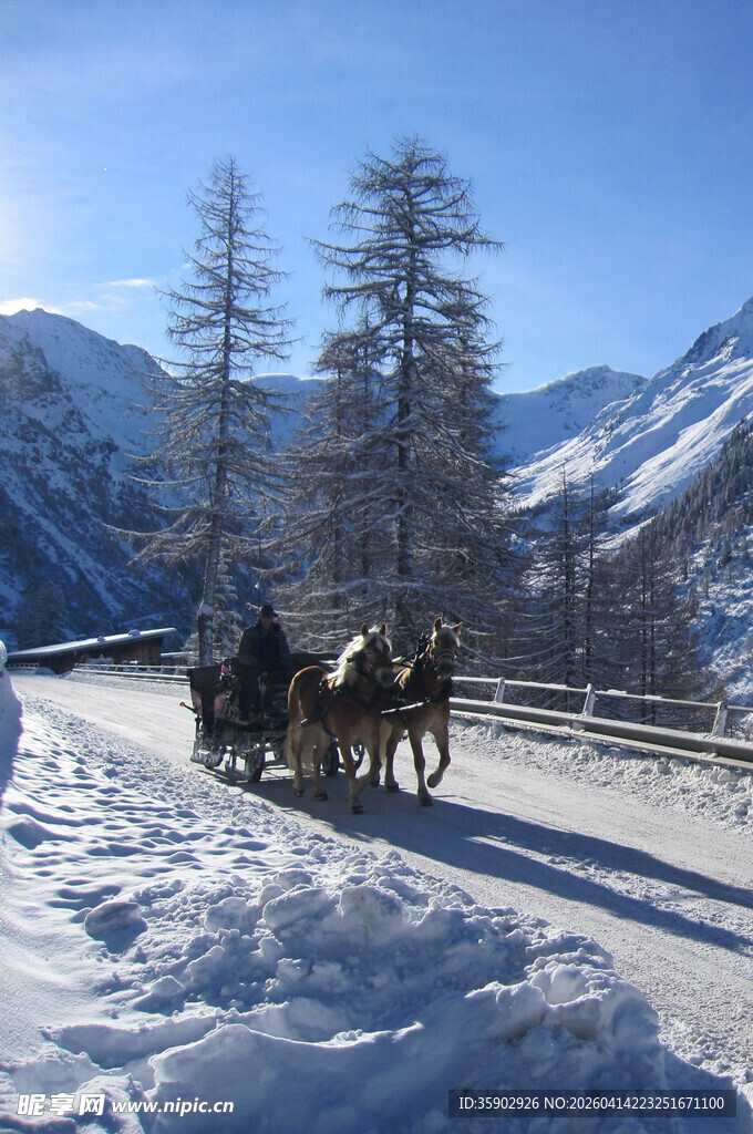 冬日雪路的马拉雪橇之旅