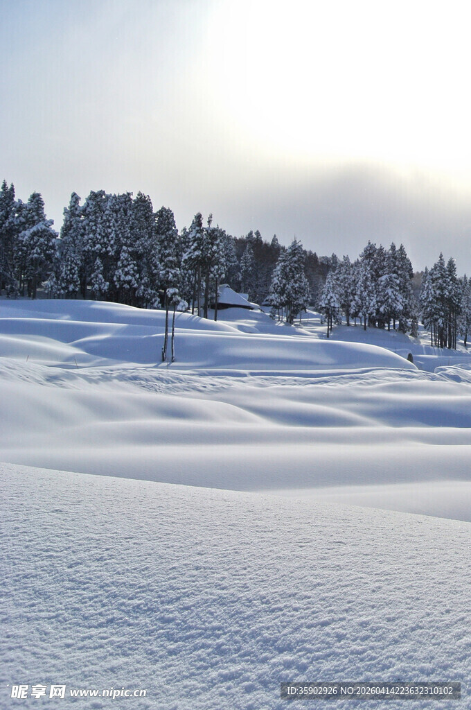 冬日雪景中的静谧雪地