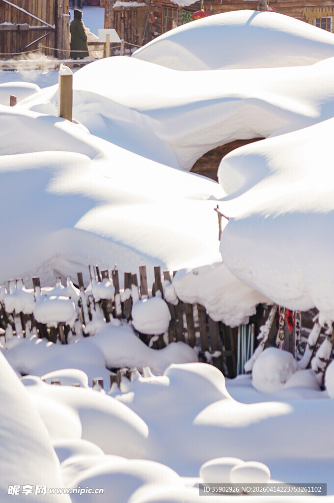 雪覆花丛美如画