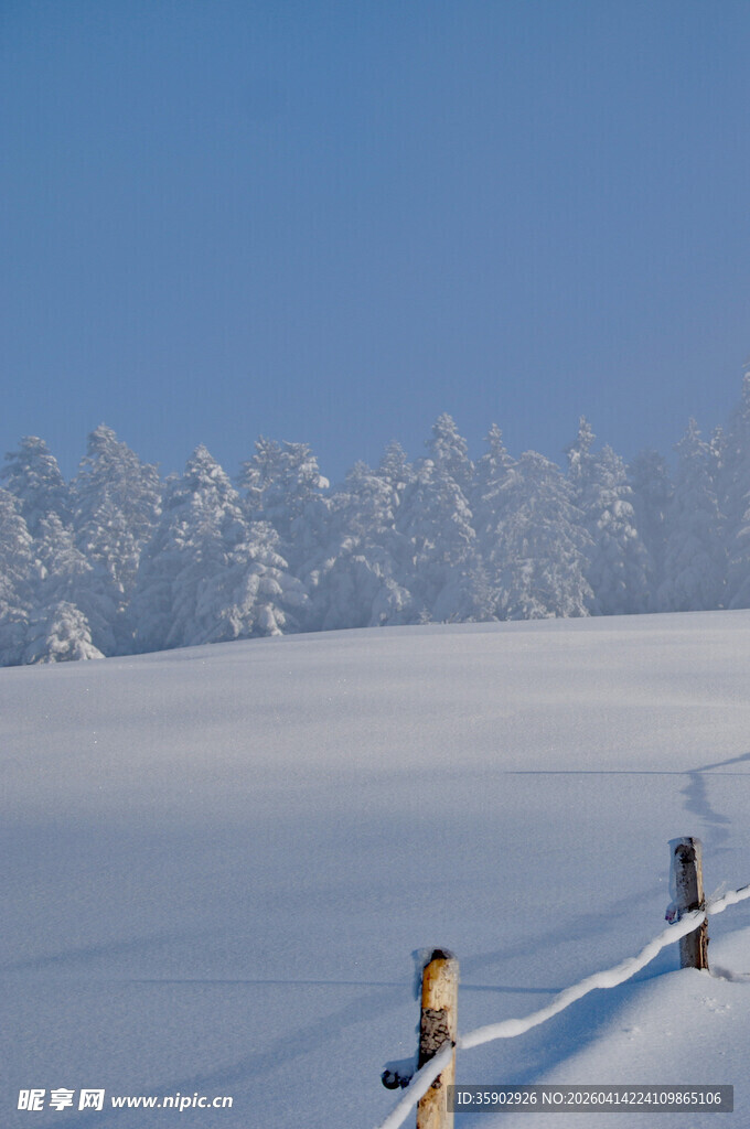冬日雪野中的木栅栏