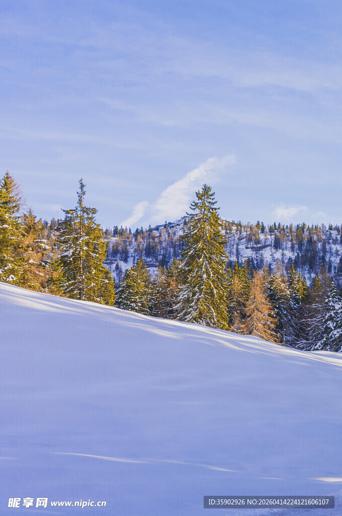 冬日雪野与山林景观