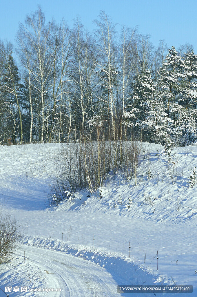冬日雪景中的树林与雪道