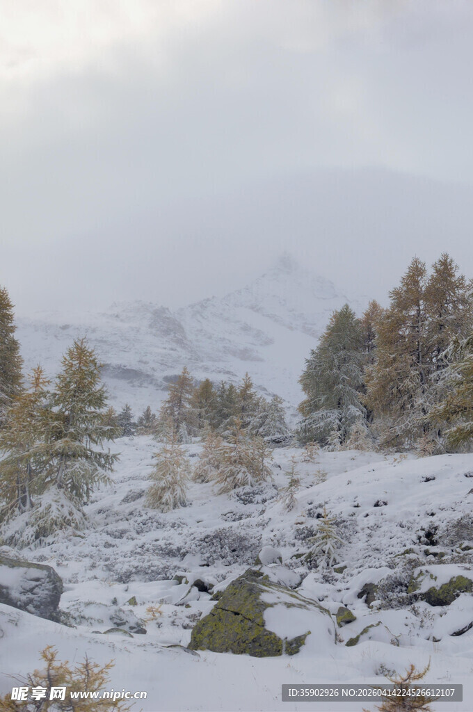 雪覆山林的冬日美景
