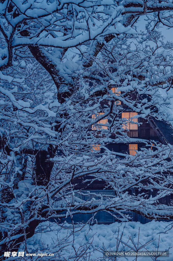 雪夜中灯火映照的静谧树木