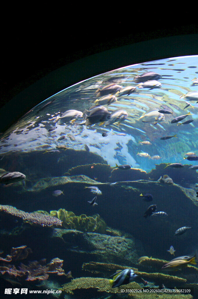 海底世界景观
