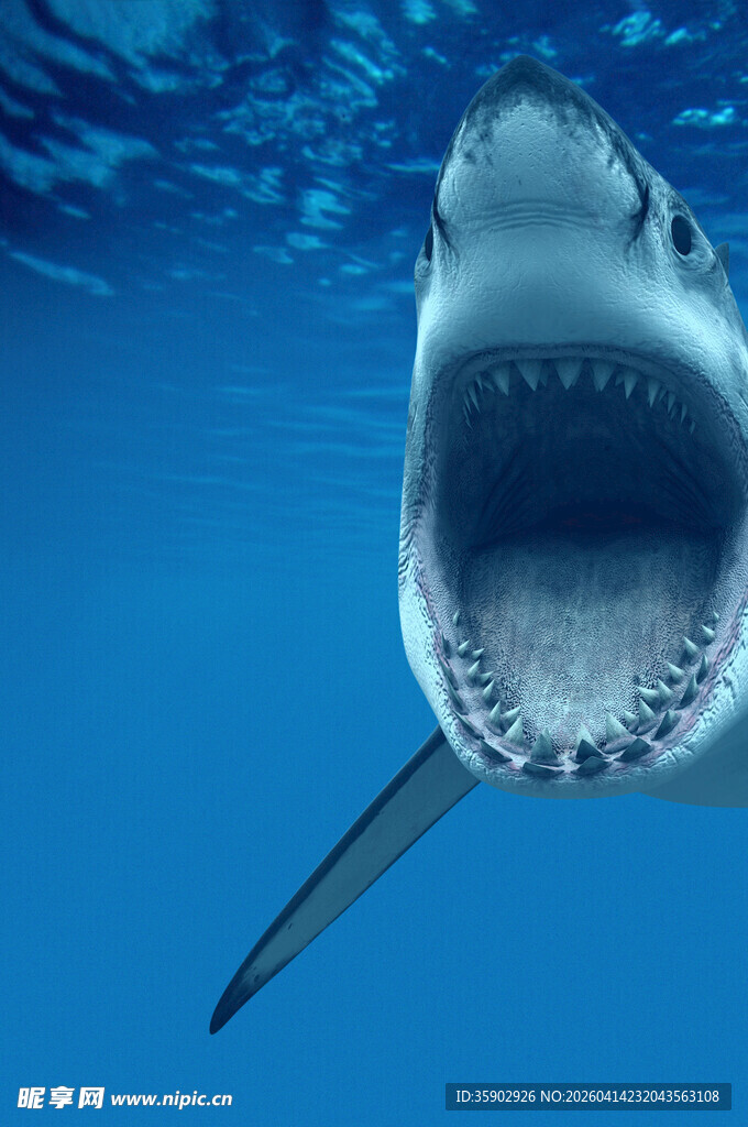 深海巨鲨张开大口