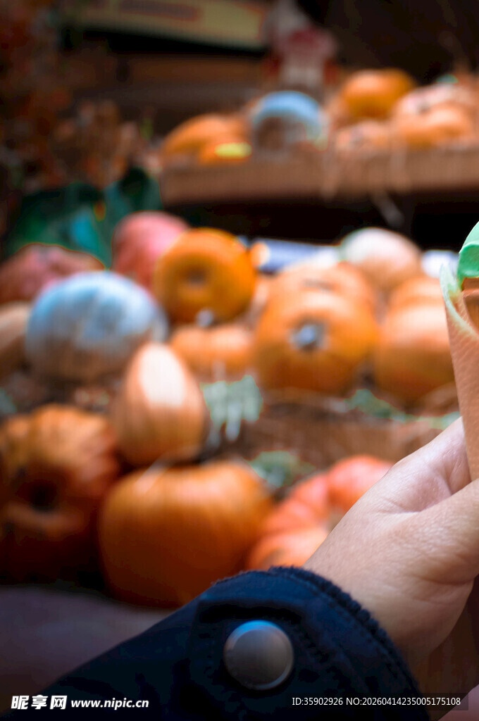 手触多彩南瓜展