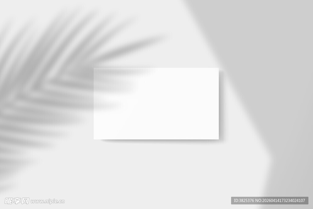 简约叶影下的空白卡片展示样机
