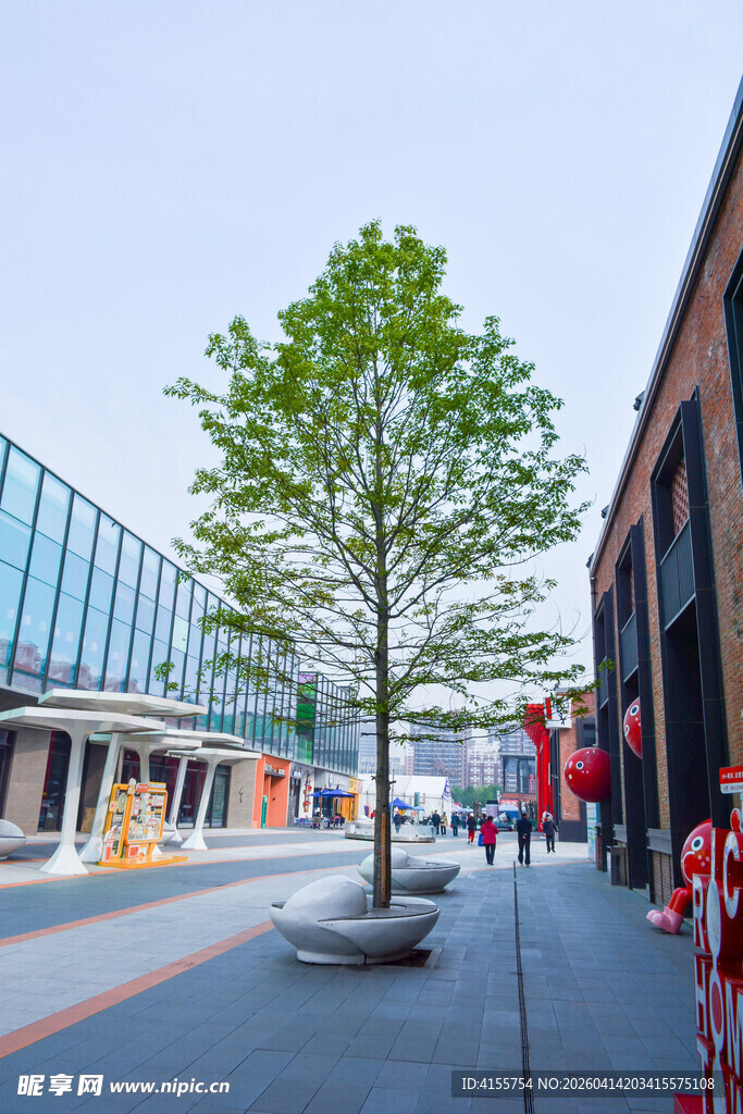 城市街道旁的葱郁绿树