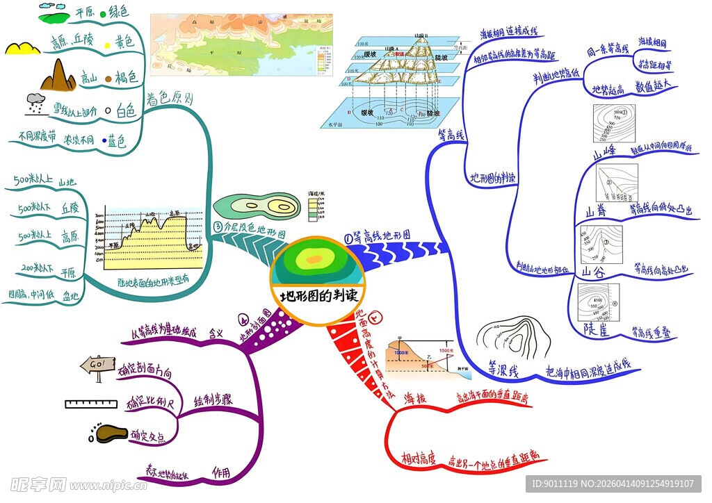 基因调控流程图解   地理思维