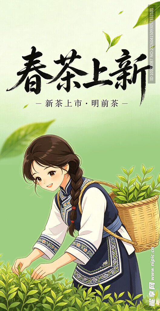 春茶采摘少女