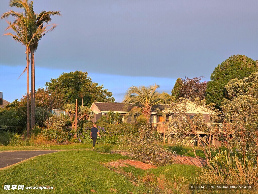 奥克兰海边小镇风景