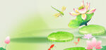 荷塘蜻蜓荷花美景图