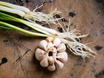 新鲜大蒜带葱根特写
