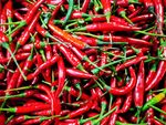 红辣椒
