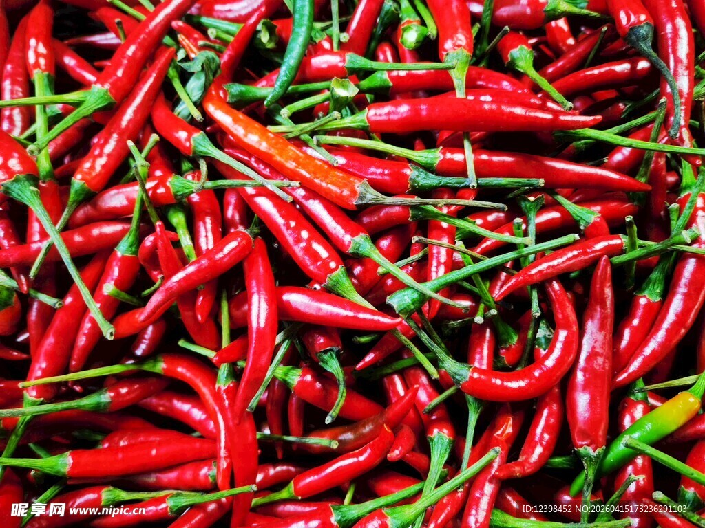 红辣椒