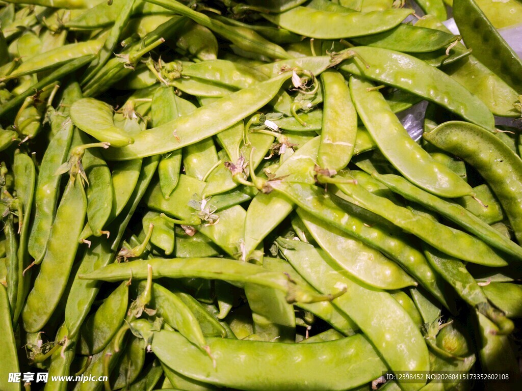 新鲜翠绿荷兰豆