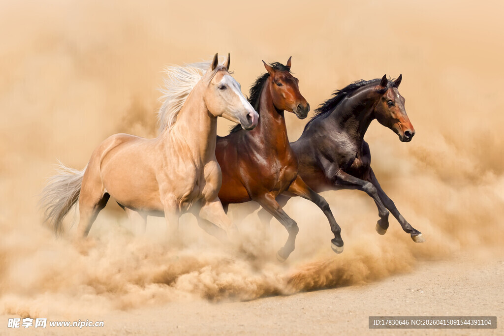 三匹马奔腾扬起尘土