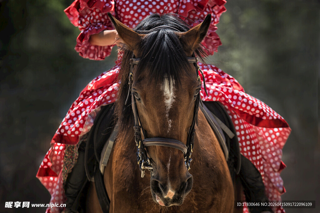 红衣骑手策马奔腾
