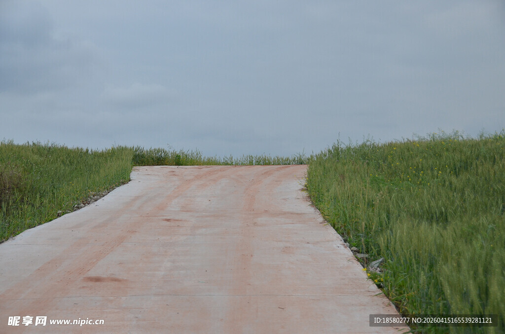 乡间土路 绿意相伴