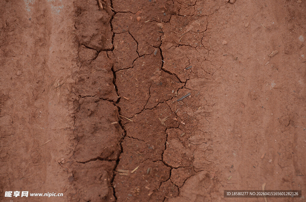干裂的红褐色土地