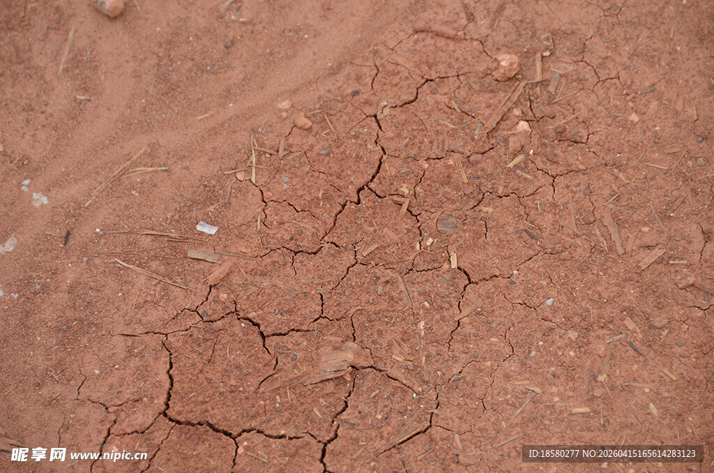 干裂的红褐色土地