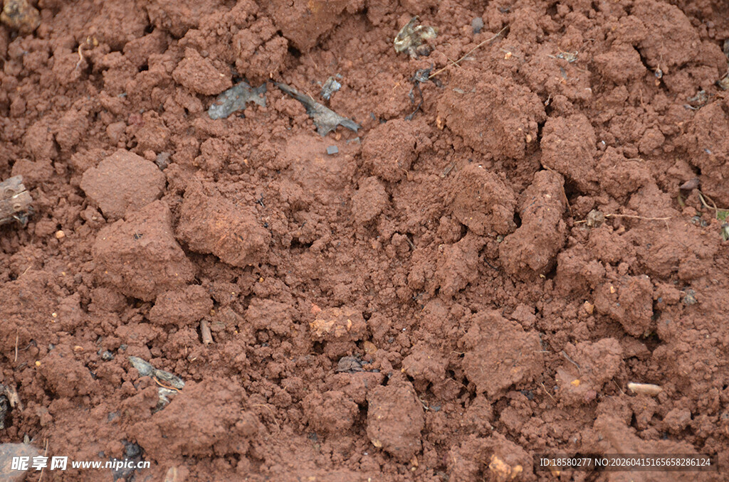 红褐色土壤特写