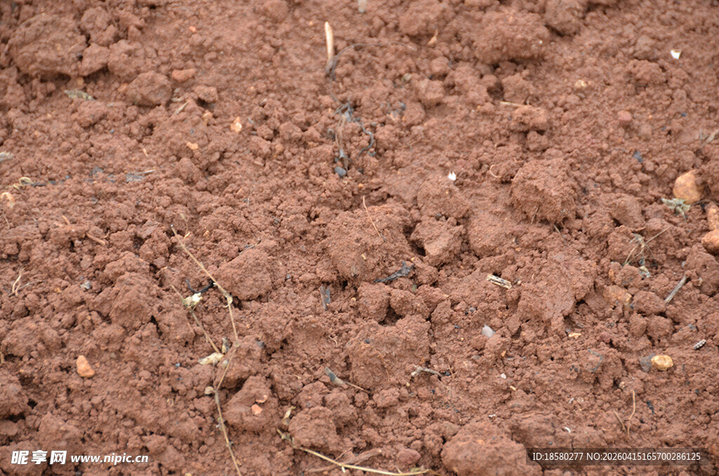 肥沃的褐色土壤