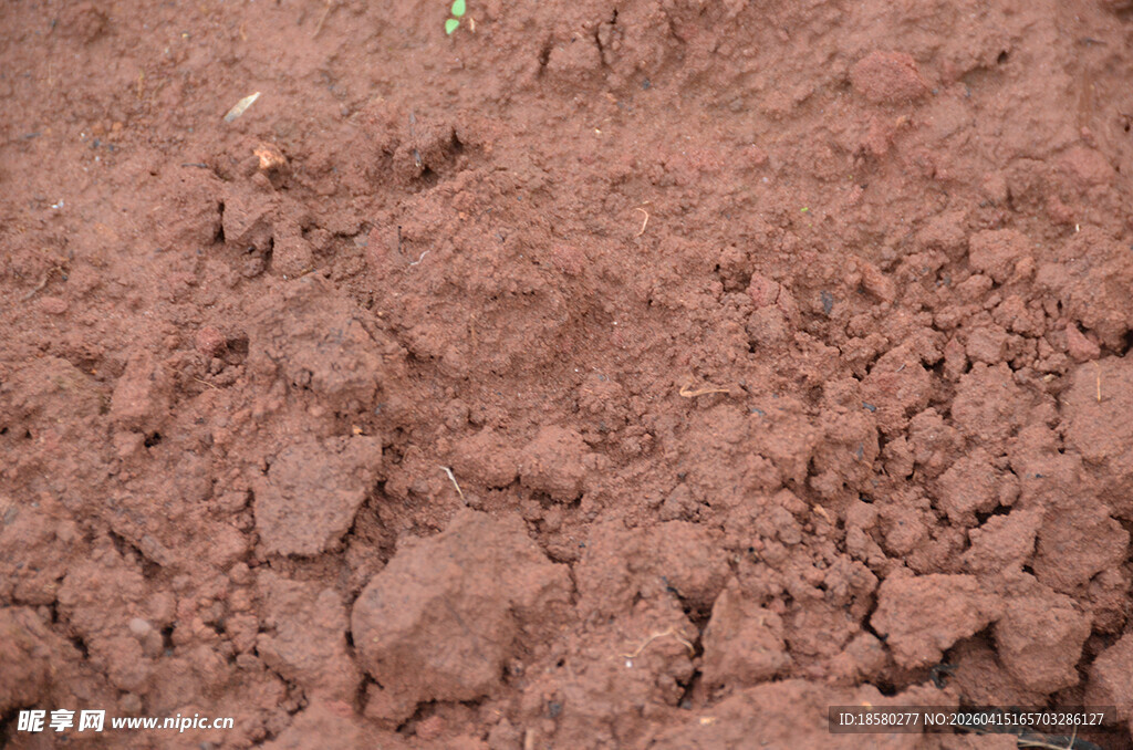 红褐色土壤近景特写