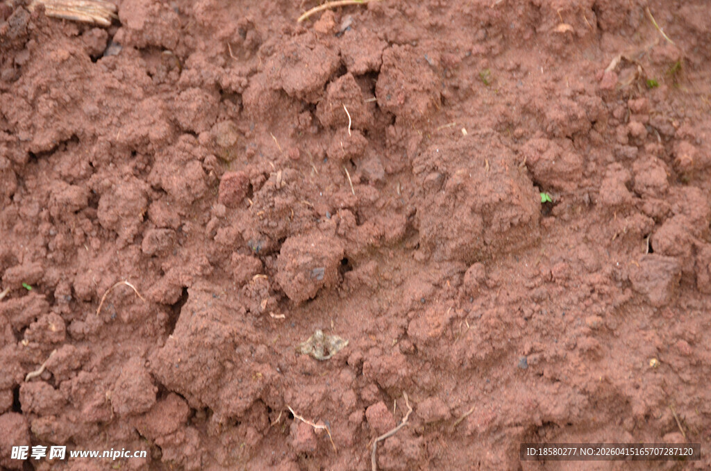 红褐色土壤特写