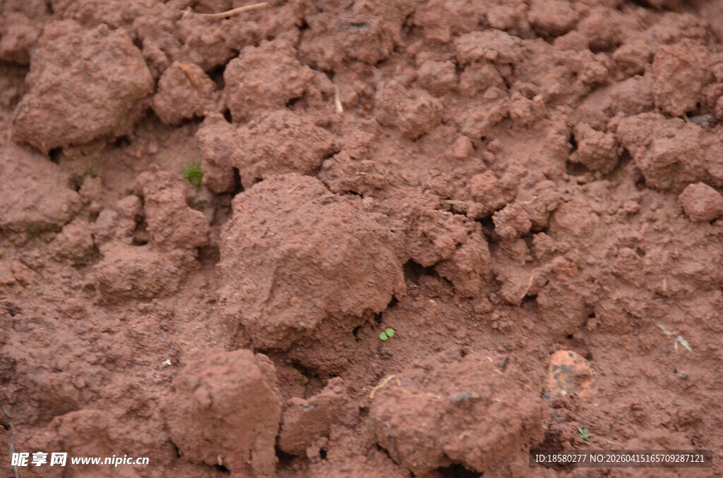 红褐色土壤特写