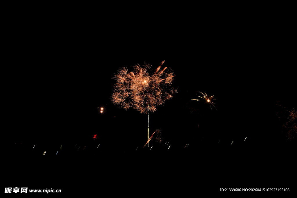 绚丽烟花夜空绽放