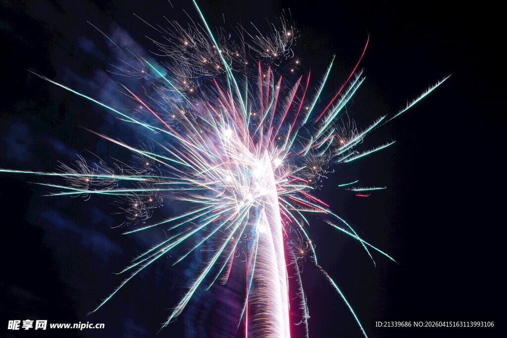 绚丽烟花夜空绽放