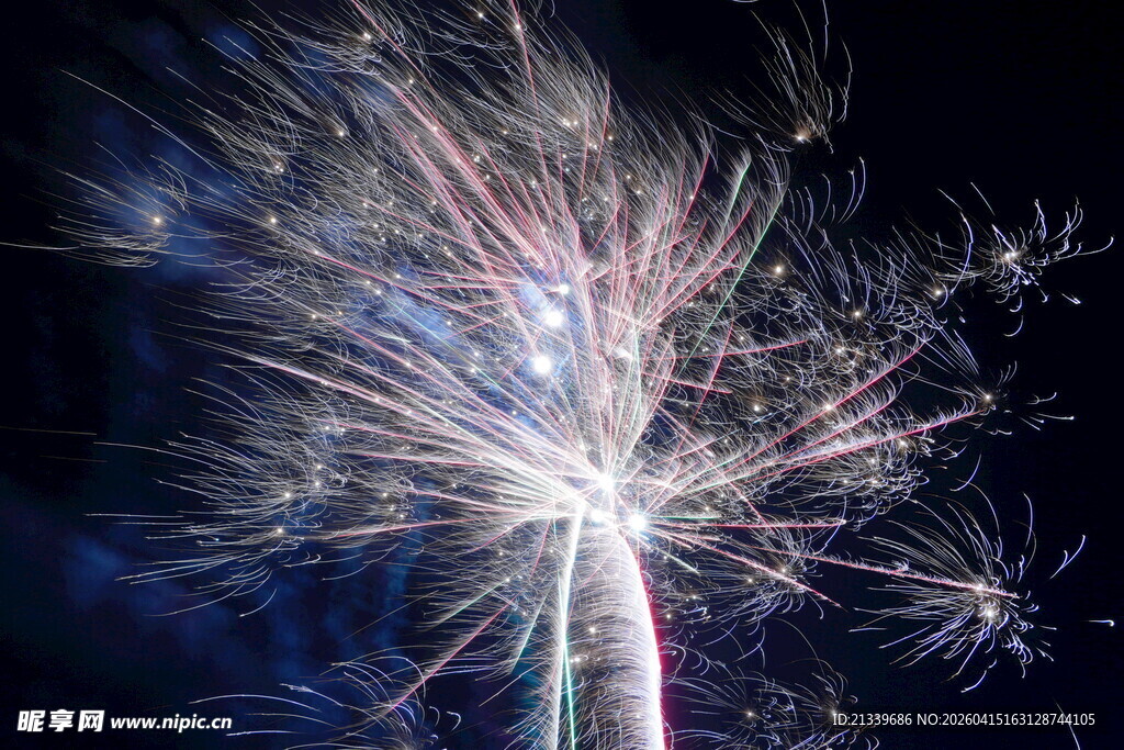 绚丽烟花夜空绽放