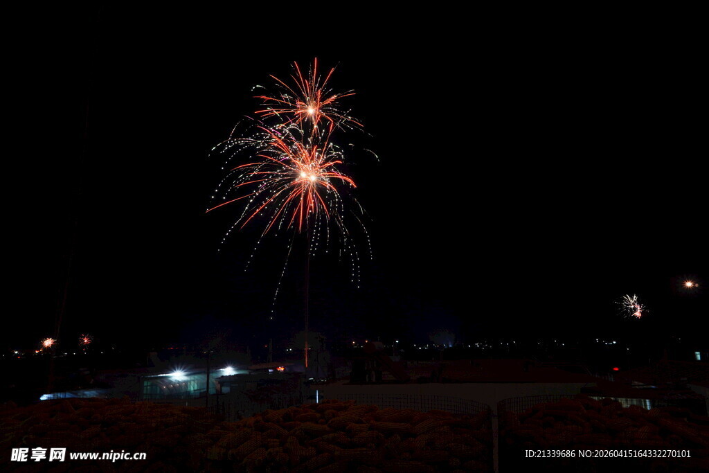 绚丽烟花夜空绽放