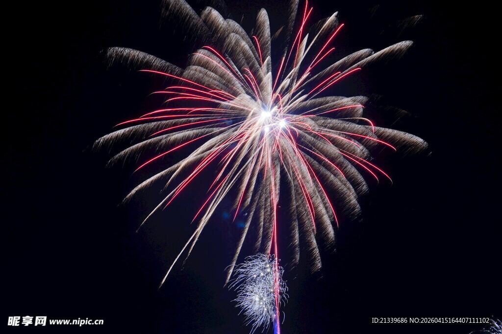 绚丽烟花夜空绽放