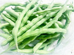 四季豆