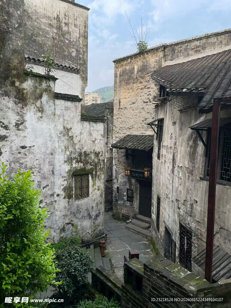 庭院