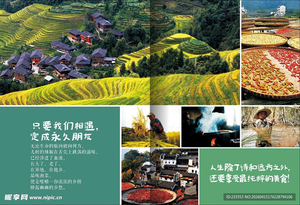 乡村生活与农业场景集锦