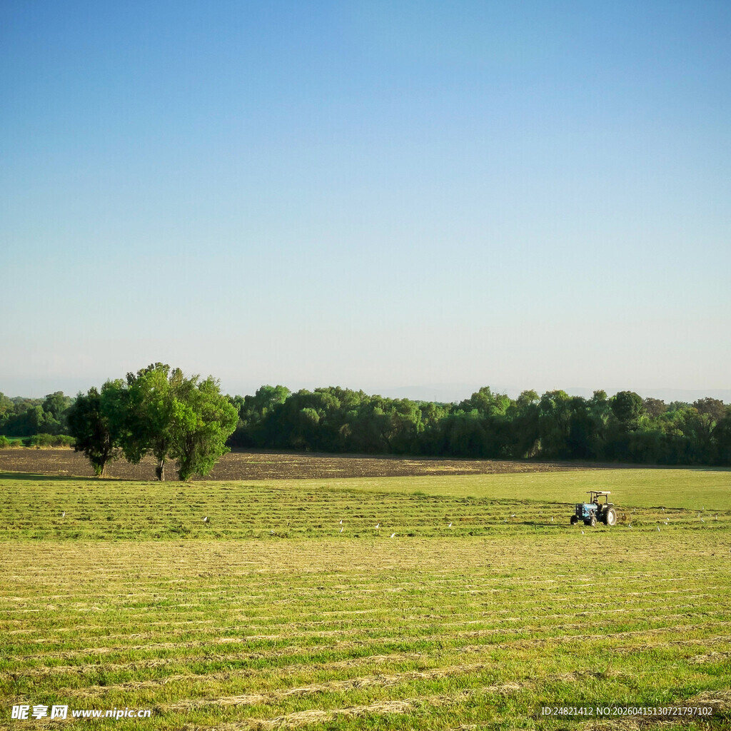 广袤田野上的悠闲景象
