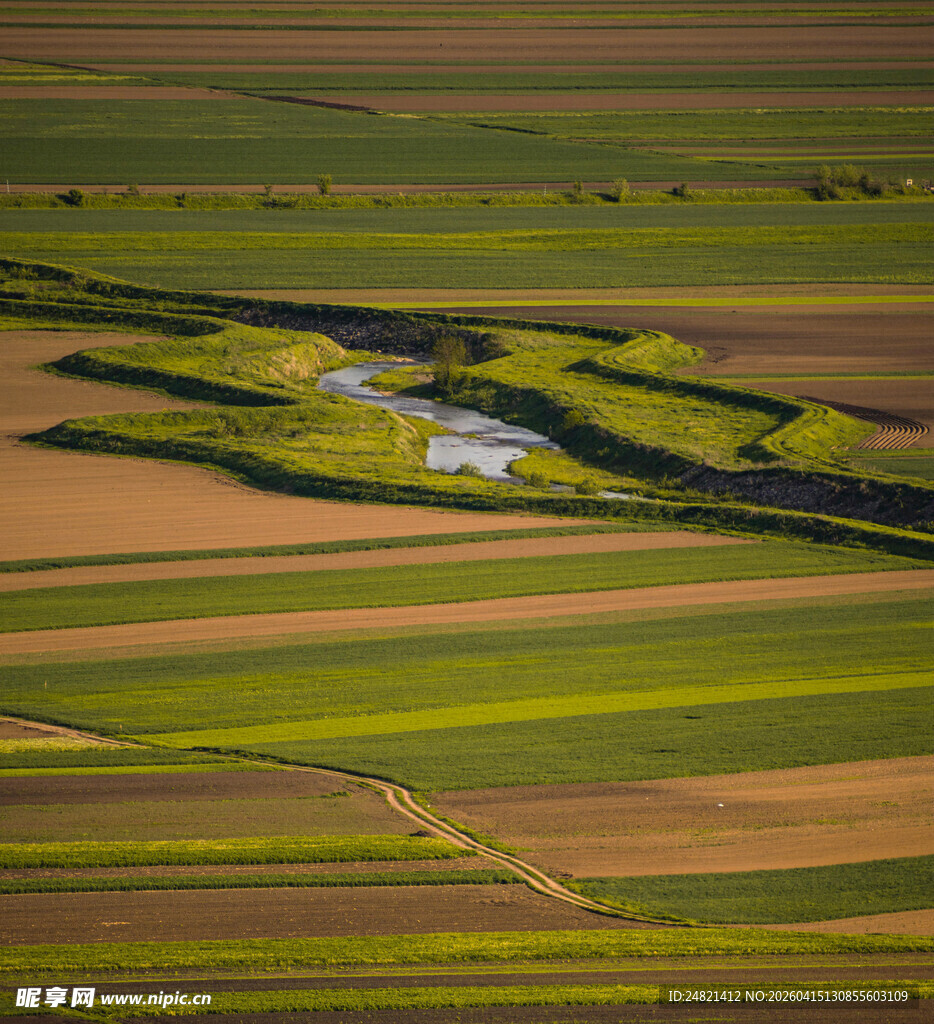 广袤田野间的美丽自然景观