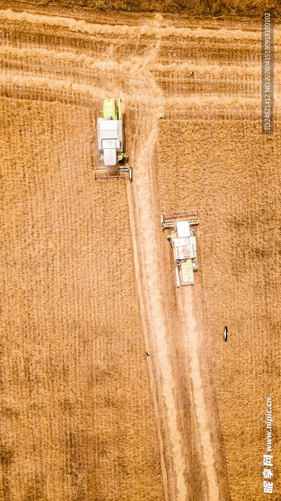 田野中的车辆与行人