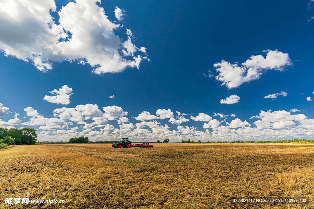 金黄田野与蓝天白云美景