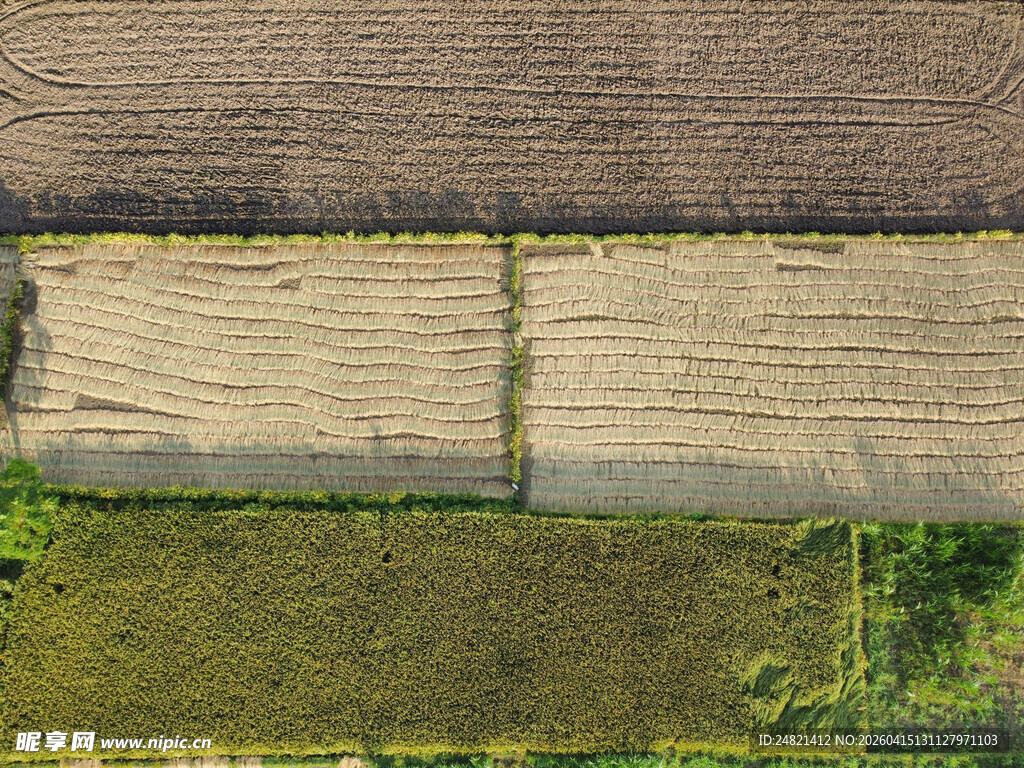 俯瞰多彩农田景观