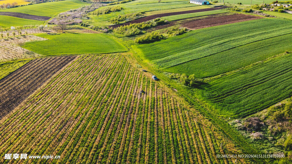 俯瞰翠绿农田风光