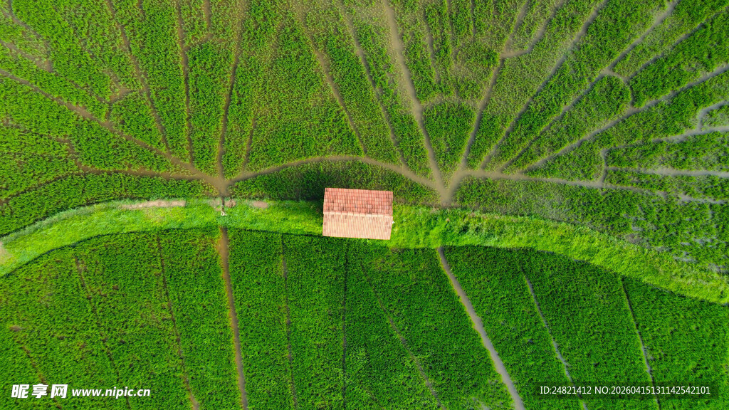 田野中的孤单小屋