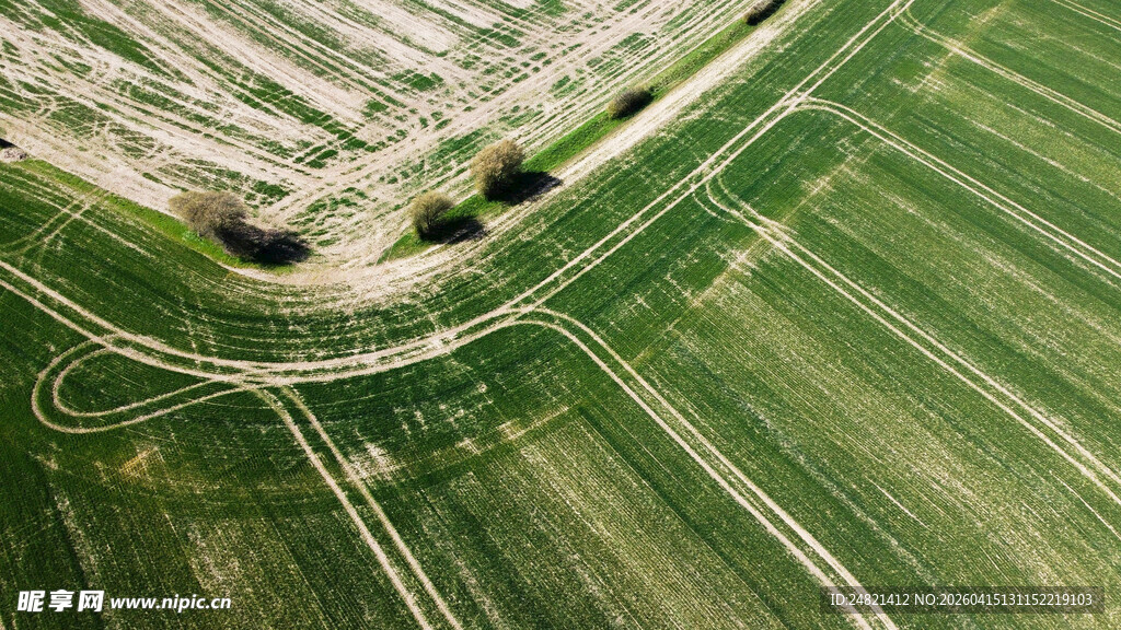 俯瞰绿色田野美丽景观